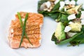 Grilled Salmon and salad