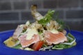 Grilled salmon salad Royalty Free Stock Photo