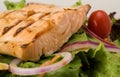 Salmon Salad Royalty Free Stock Photo