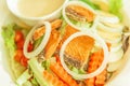 Grilled salmon with salad, onion slice rings, carrot, boiled egg and salad dressing served on white plate. Homemade and healthy Royalty Free Stock Photo