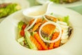 Grilled salmon with salad, onion slice rings, carrot, boiled egg and salad dressing served on white plate. Homemade, healthy food Royalty Free Stock Photo