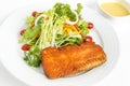 Grilled salmon salad serve with mixed vegetable decorate by parsley and tomato eat with cream salad Royalty Free Stock Photo