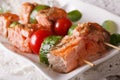 Grilled salmon on skewers macro on a plate. Horizontal Royalty Free Stock Photo