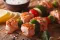 Grilled salmon on skewers and tartar sauce macro. horizontal Royalty Free Stock Photo