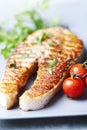 Grilled salmon steak Royalty Free Stock Photo