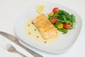 Grilled salmon steak with beurre blanc sauce Royalty Free Stock Photo