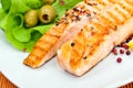 Grilled salmon steak with lettuce Royalty Free Stock Photo