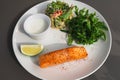 Grilled salmon steak on the side with arugula and salad. Royalty Free Stock Photo