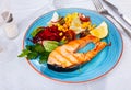 Grilled salmon steak with vegetable salad Royalty Free Stock Photo