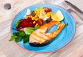 Grilled salmon steak with vegetable salad Royalty Free Stock Photo