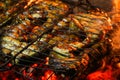 Grilled salmon steaks on a grill. Fire flame grill. Restaurant and garden kitchen. Royalty Free Stock Photo