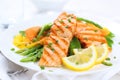 Grilled salmon with vegetables Royalty Free Stock Photo