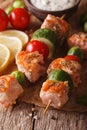 Grilled salmon and vegetables on skewers macro. vertical Royalty Free Stock Photo