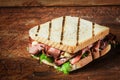 Grilled sandwich with beef and herbs Royalty Free Stock Photo