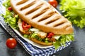 Grilled sandwich with chicken, green salad and vegetables Royalty Free Stock Photo