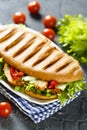 Grilled sandwich with chicken, green salad and vegetables