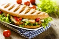 Grilled sandwich with chicken, green salad and vegetables