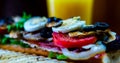 Grilled sandwich with various cold meats, cheese, mushrooms, tom Royalty Free Stock Photo