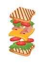 grilled sandwich. Vector illustration decorative design