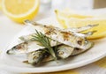 Grilled sardine fish Royalty Free Stock Photo