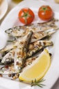 Grilled sardine fish Royalty Free Stock Photo