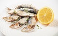 Grilled sardine fish Royalty Free Stock Photo