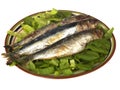 Grilled Sardines Royalty Free Stock Photo