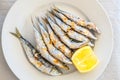 Grilled sardines. Andalusia, Spain Royalty Free Stock Photo
