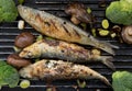 Grilled sardines Royalty Free Stock Photo