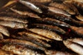 Grilled sardines Royalty Free Stock Photo