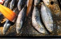 Grilled sardines on grill plate. Prepared spanish pilchard style at garden home Royalty Free Stock Photo