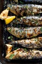 Grilled sardines in a herbal lemon marinade on a grill plate, top view