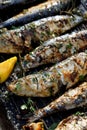 Grilled sardines in a herbal lemon marinade on a grill plate, top view