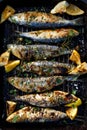 Grilled sardines in a herbal lemon marinade on a grill plate, top view