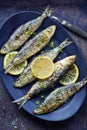 Grilled Sardines with Lemon and Herbs Royalty Free Stock Photo