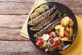 Grilled sardines with roasted potatoes and fresh vegetable salad Royalty Free Stock Photo