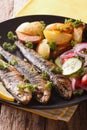 Grilled sardines with roasted potatoes and fresh vegetable salad Royalty Free Stock Photo