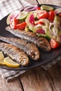 Grilled sardines with a salad of cucumber, radish, tomato, onion Royalty Free Stock Photo