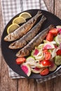 Grilled sardines with a salad of cucumber, radish, tomato, onion Royalty Free Stock Photo