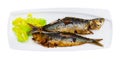 Grilled sardines served with fresh vegetable salad Royalty Free Stock Photo