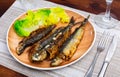 Grilled sardines served with fresh vegetable salad Royalty Free Stock Photo