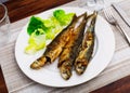 Grilled sardines served with fresh vegetable salad Royalty Free Stock Photo