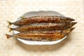 Grilled saury Royalty Free Stock Photo