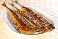 Grilled saury Royalty Free Stock Photo