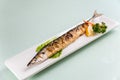 Grilled saury Royalty Free Stock Photo