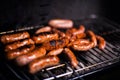 Grilled sausage on the flaming grill Royalty Free Stock Photo