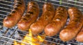 Grilled sausage on the flaming grill Royalty Free Stock Photo