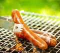 Grilled Sausage on the flaming Grill Royalty Free Stock Photo