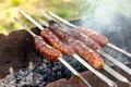 Grilled sausage on the picnic flaming grill Royalty Free Stock Photo