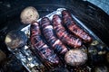 Grilled sausage and potaoes, barbecue Royalty Free Stock Photo